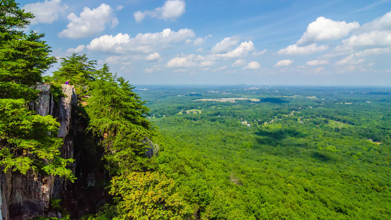 cliff overlooking forested hills