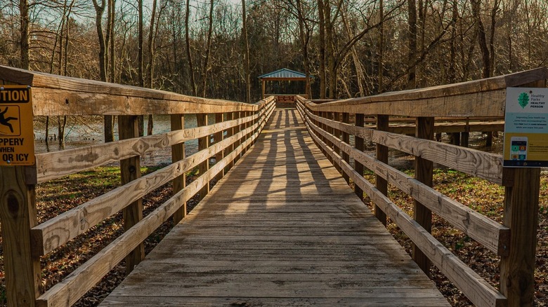 wooden walkway lake