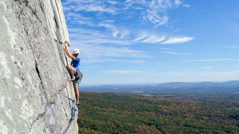 rock climber with forest view