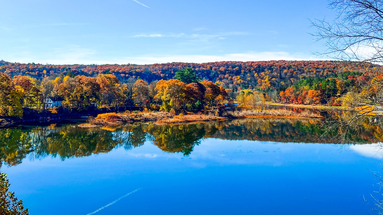 The Delaware River with autumnal trees in background