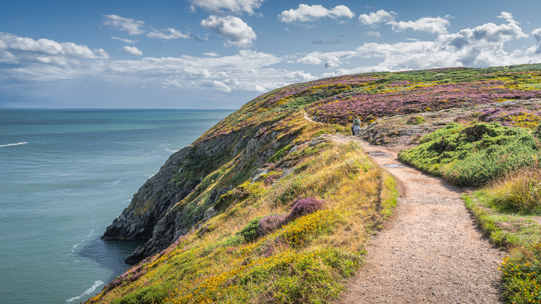 Howth Cliff Walk