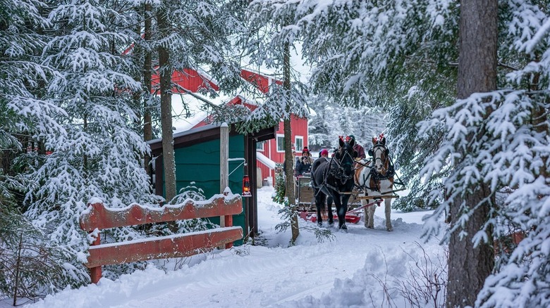 Lake Clear Lodge & Resort sleigh ride