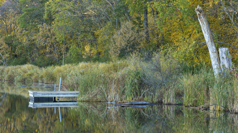 Lake Maria State Park, Minnesota