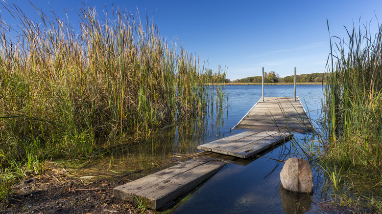 Dock, Lake Maria State Park, Minnesota