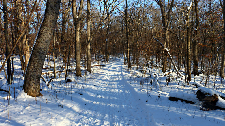 Winter Trail, Lake Maria State Park, Minnesota