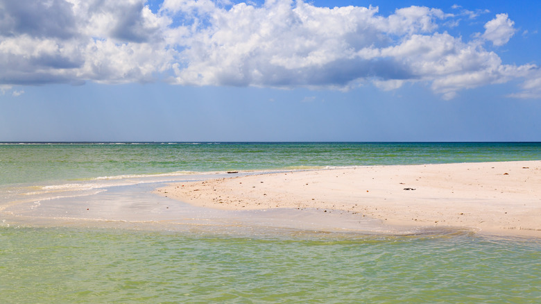 White sand beaches at Honeymoon Island State Park