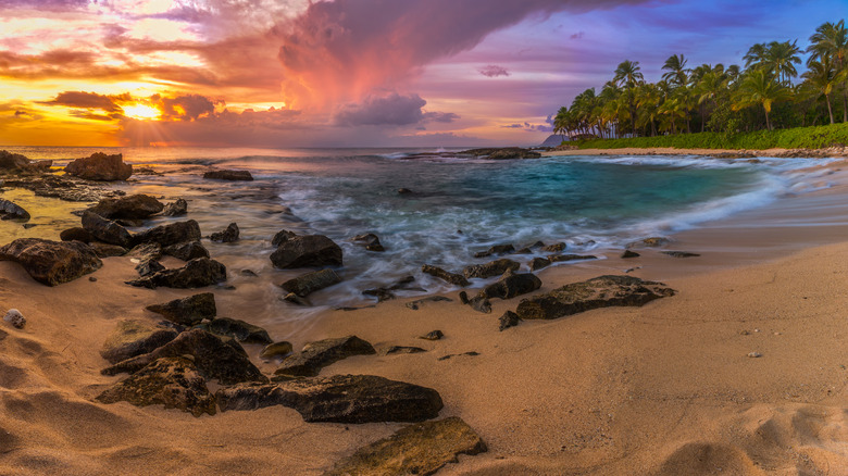 The sandy coastline of western Oahu