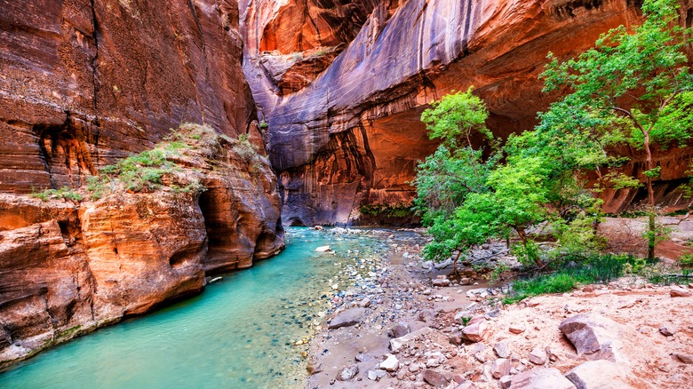 zion red rock formations the narrows