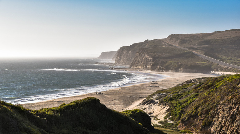 Lush cliffs surroundings Scott Creek Beach