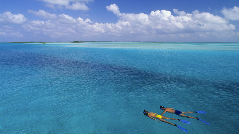 two snorkelers in tropical water