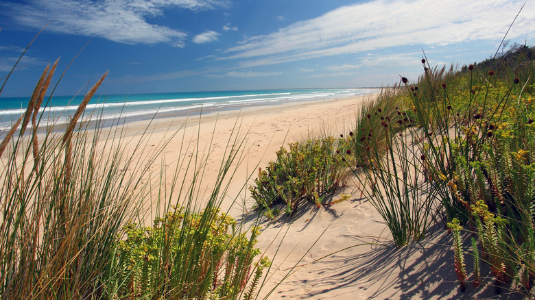 beach in Robe, Australia