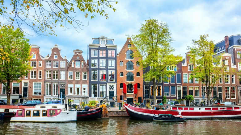 the canals of Amsterdam