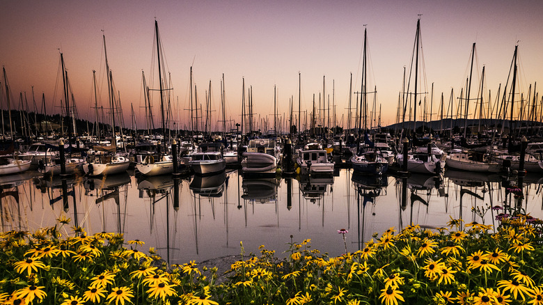 Bellingham Bay marina at sunset