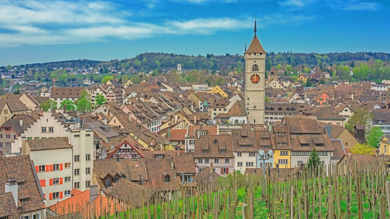 Schaffhausen city landscape