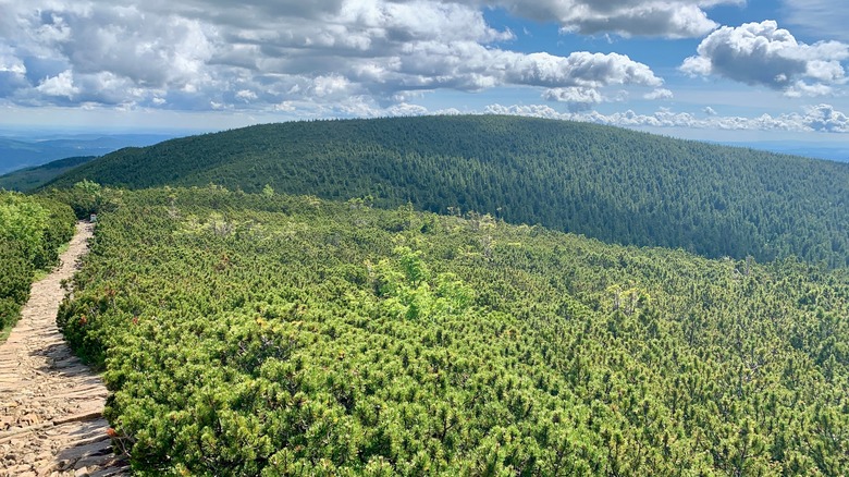 Krkonoše National Park 