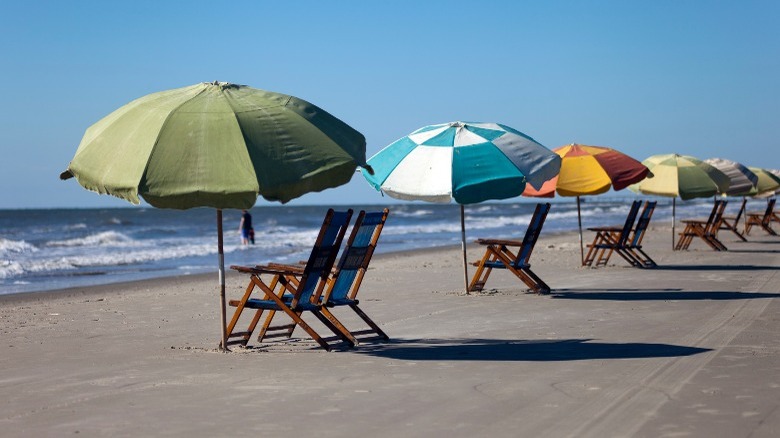 Row of beach chairs