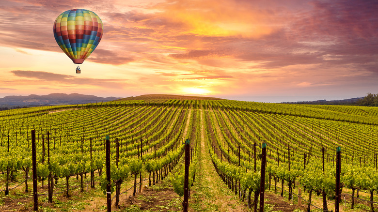 A hot air balloon over Napa Valley vineyards
