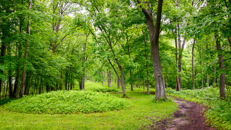 Effigy Mounds National Monument, Iowa