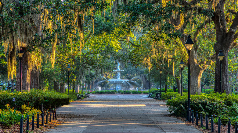 Spanish Moss in Savannah, Georgia