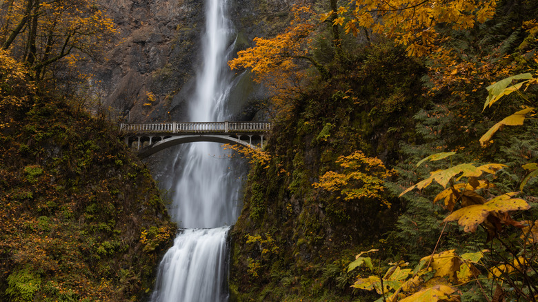 Autumn at Multnomah Falls