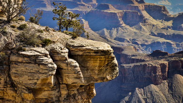 The Grand Canyon