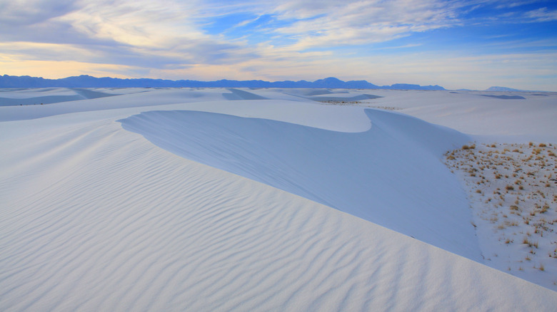 Sand dune in New Mexico