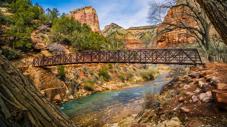 Bridge in Zion National Park