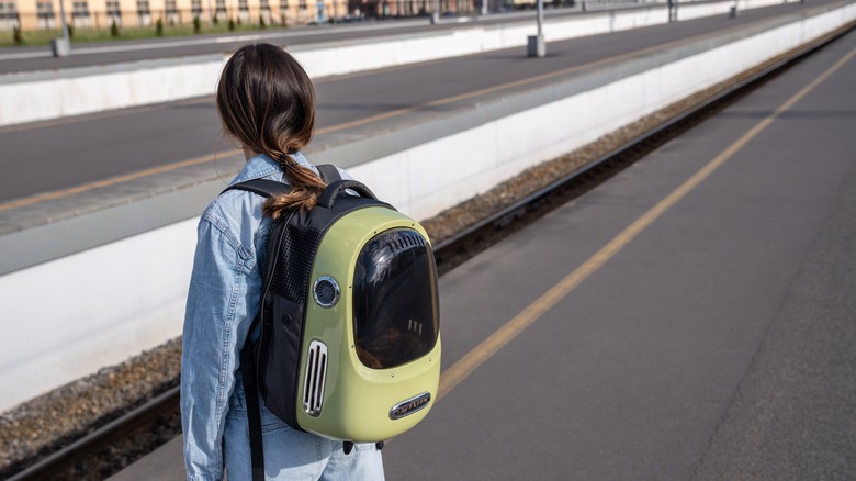 pet carrier backpack