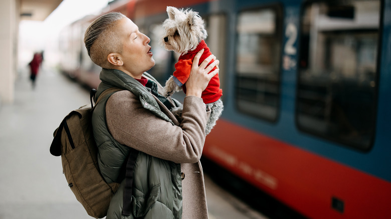 train passenger with dog