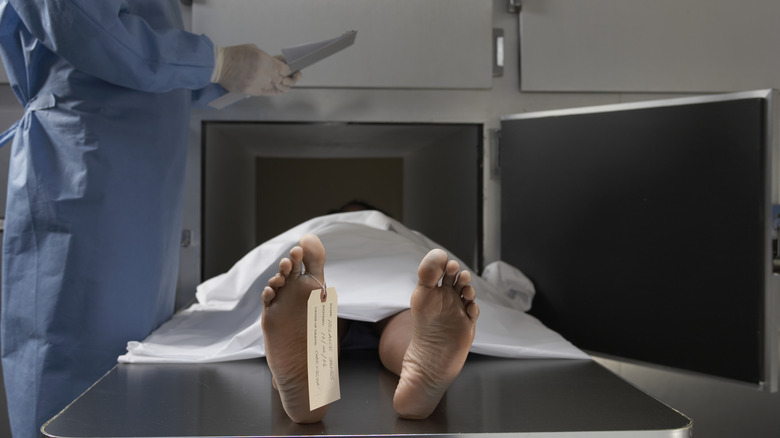 Healthcare worker in morgue