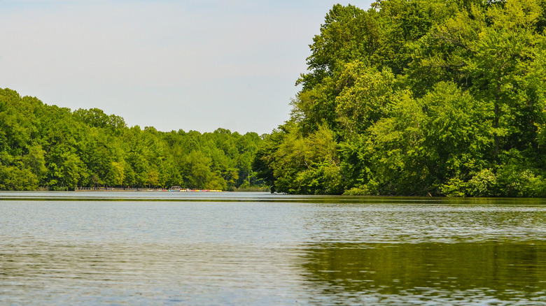 View over Lums Pond