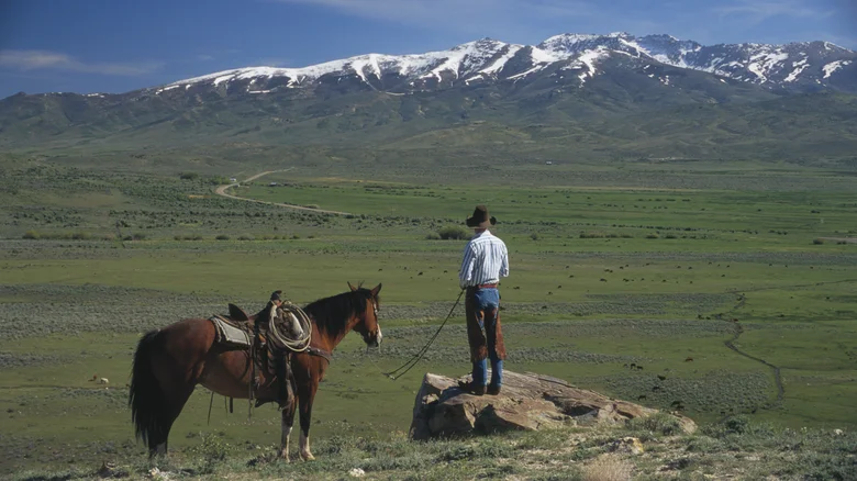 Experience Authentic Cowboy Country with Stunning Views