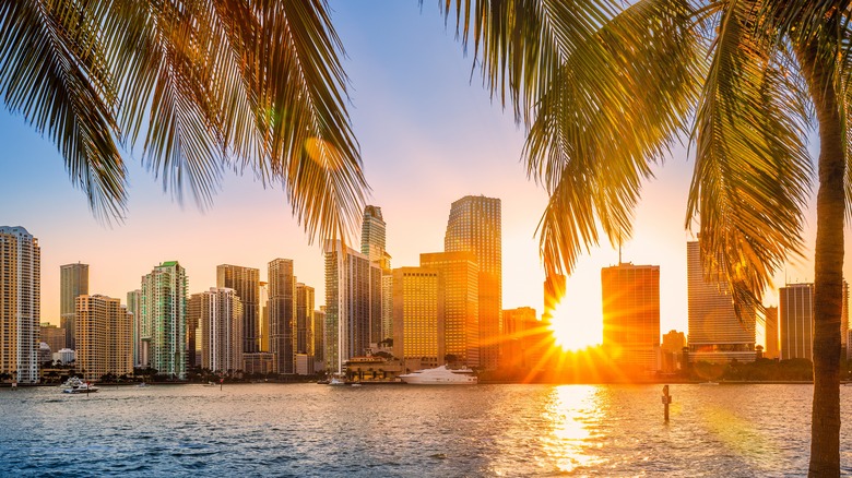 Sunset peaks through Miami buildings, Florida