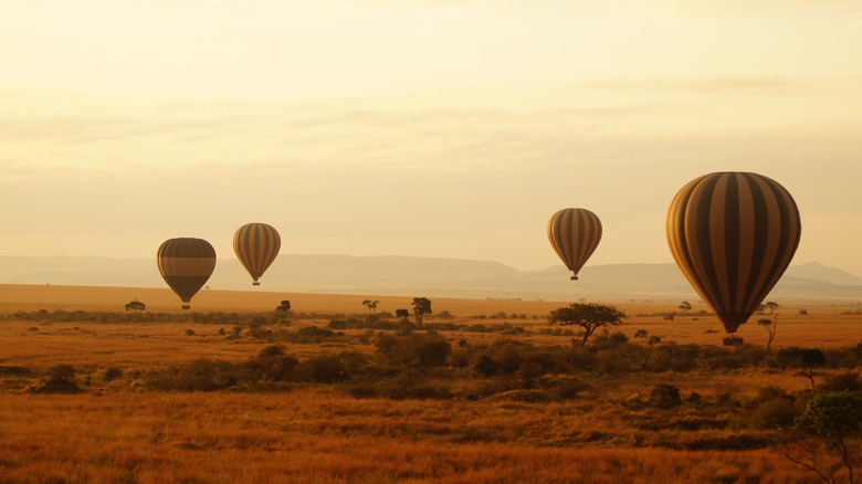 Hot air balloons at Masai Mara