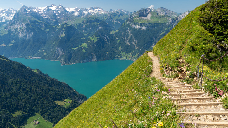 Stoos Ridge trail overlooking Lake Lucerne in Switzerland.