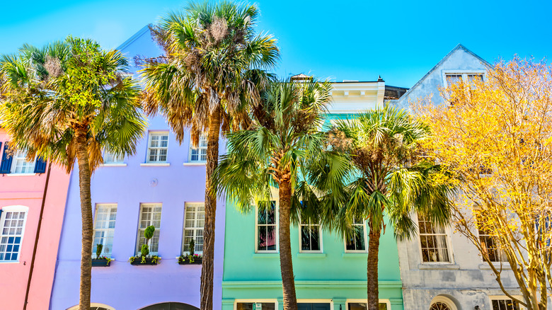 Rainbow Row palm trees Charleston