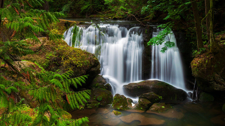 Whatcom Falls, Bellingham, Washington