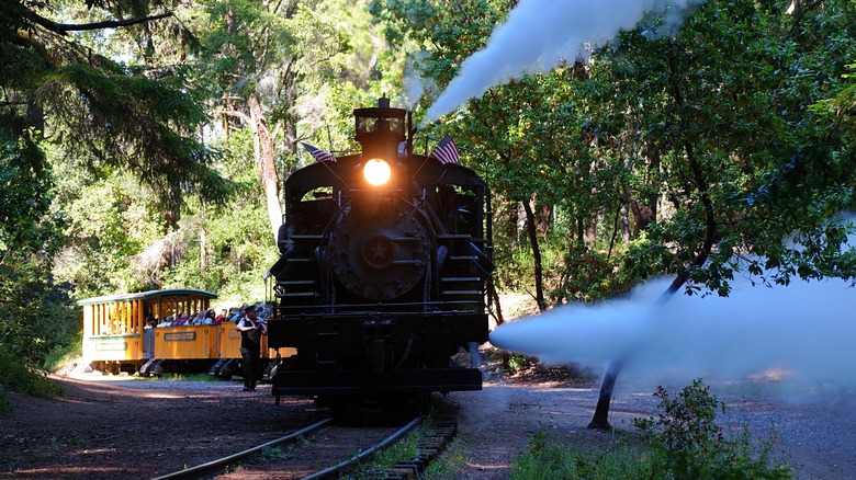 steam engine redwoods