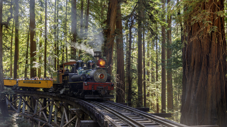 steam engine redwoods trestle