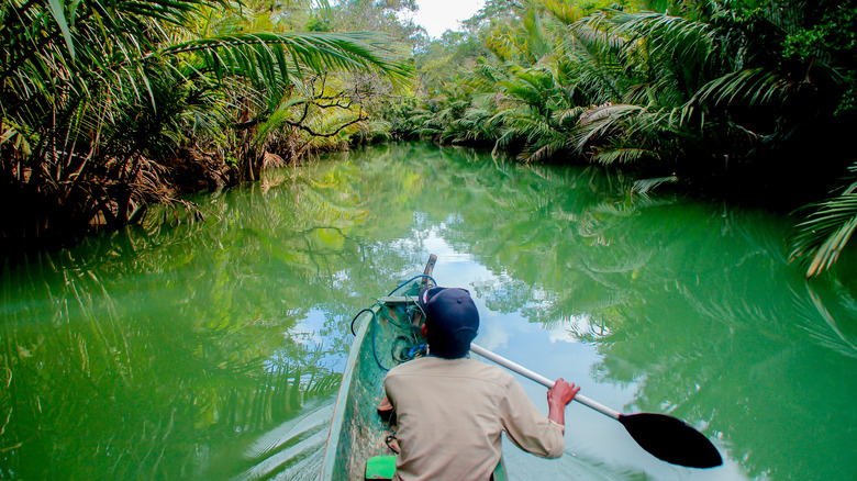 Canoeing at Ujung Kulon National Park