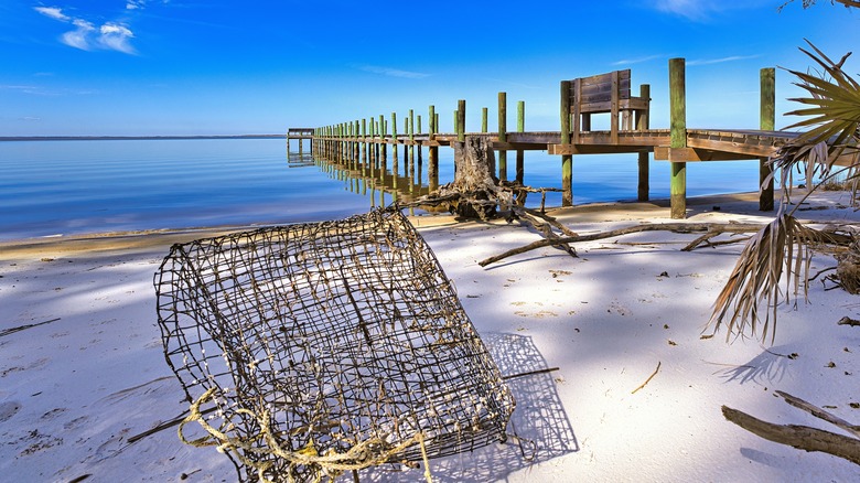 white sand and wooden pier