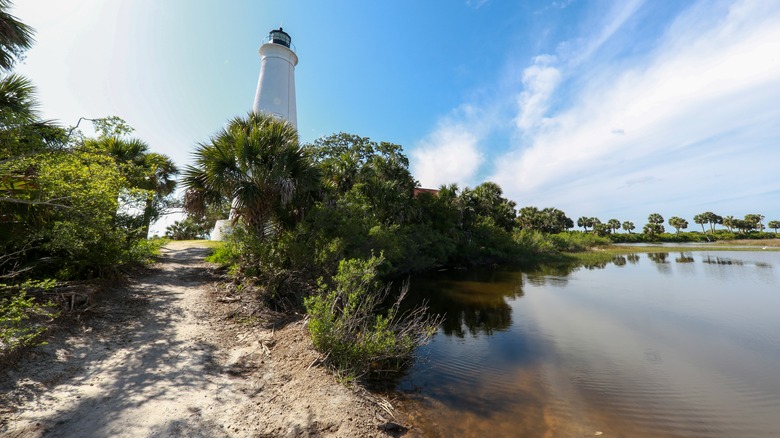 pond with plant and lighthouse