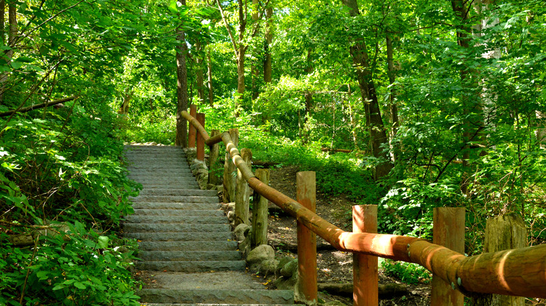 Seven Bridges Hiking Trail in Grant Park