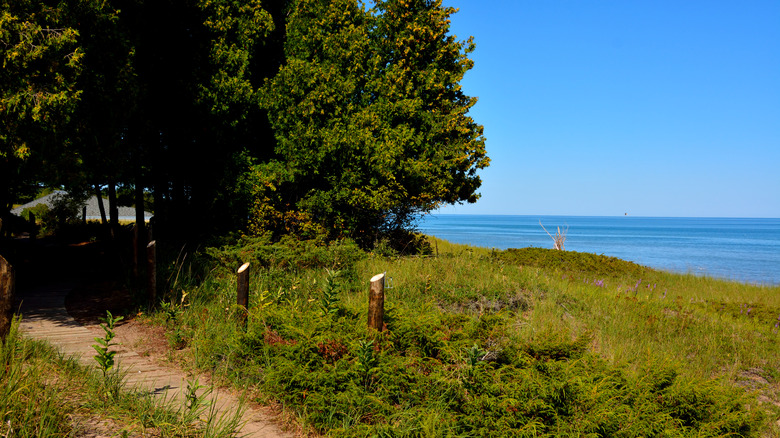 Trail and grass at Kohler-Andrae Park