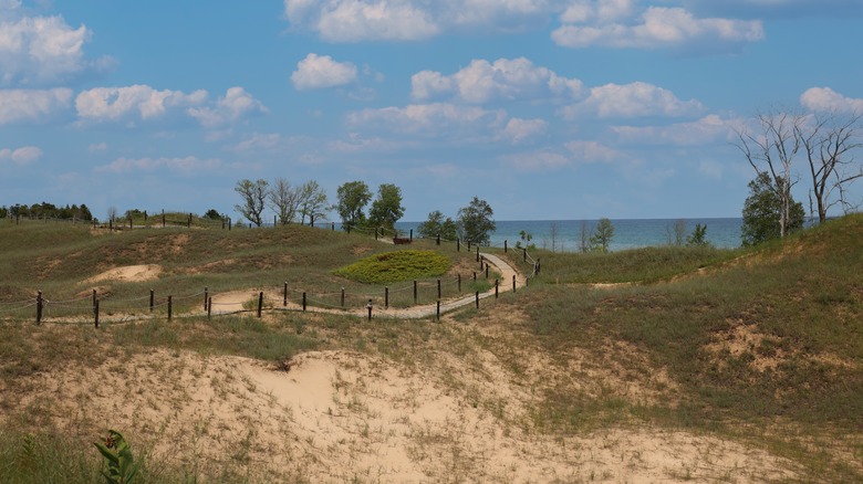 Sandy dunes, trails at Kohler Park