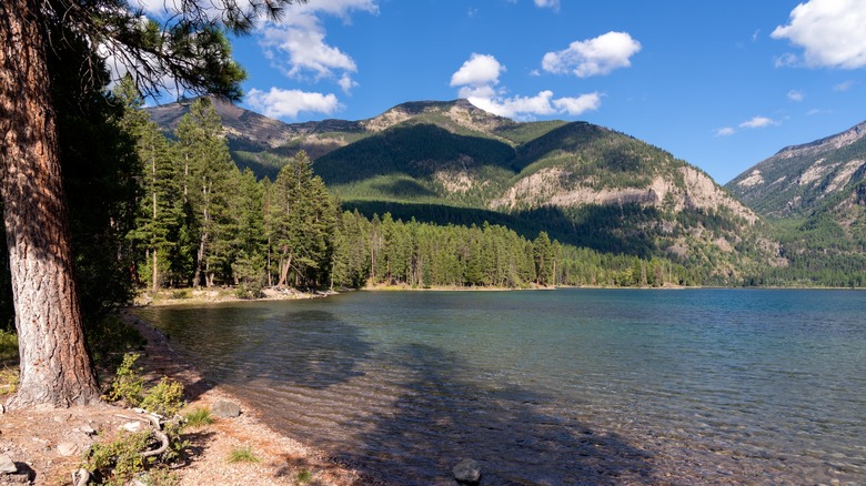 lake with beach on sunny day