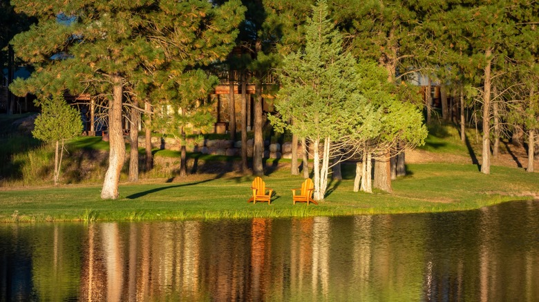 Chairs by Seeley Lake