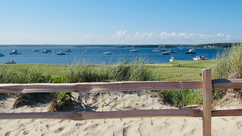 beach overlooking boats in water