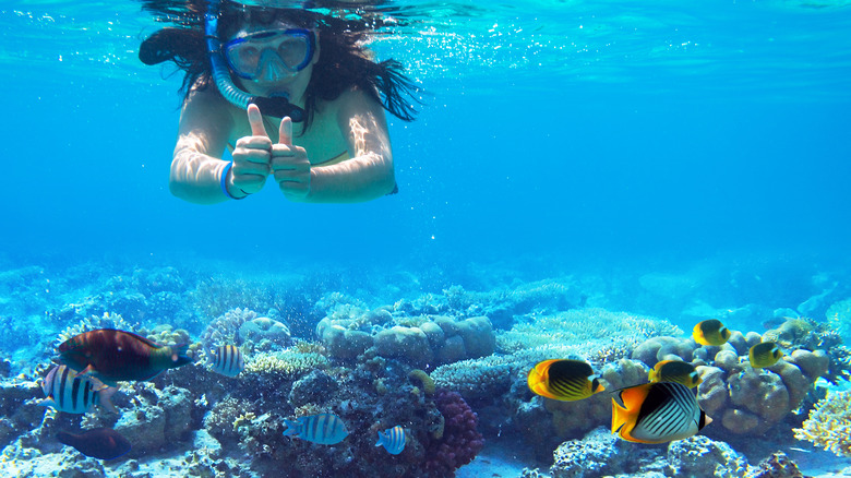 A snorkeler with coral and colorful fish