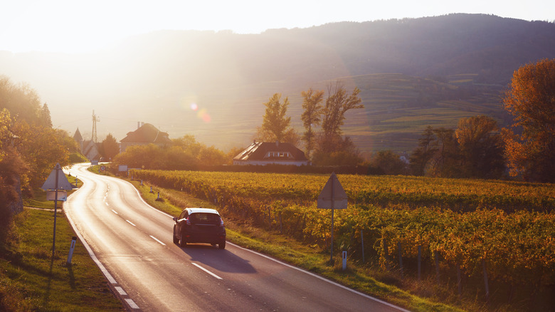 car driving past vineyards